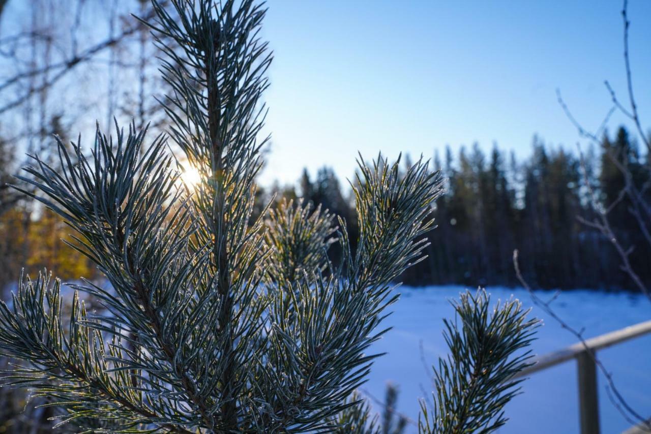 Asarna Skicenter Екстер'єр фото