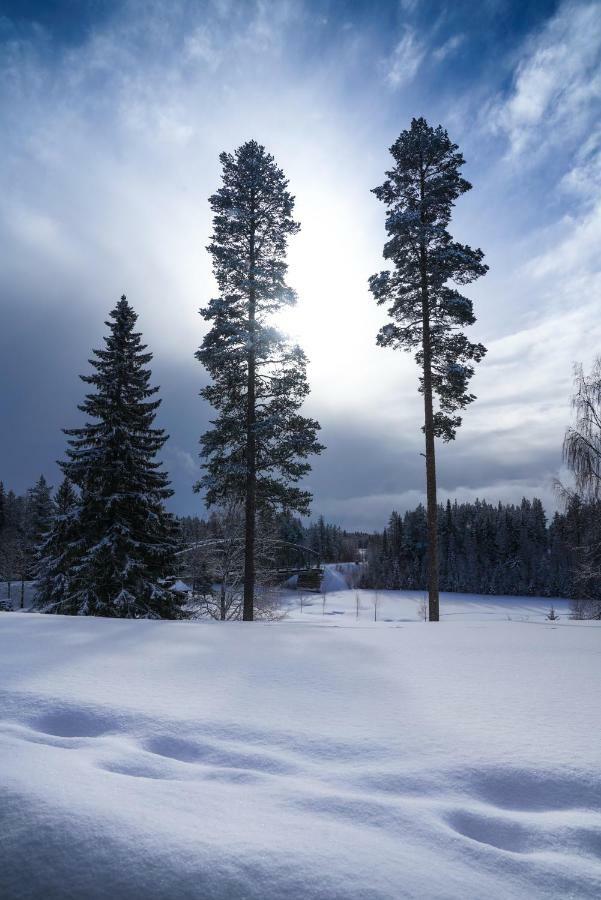 Asarna Skicenter Екстер'єр фото
